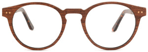 WS001