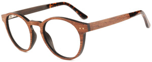 WS001