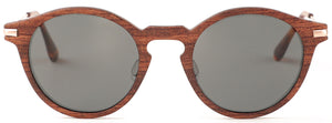 WS001S