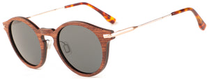 WS001S