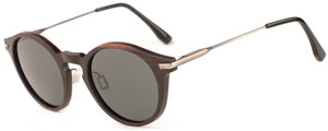 WS001S