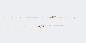 Z-Chains